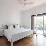 Jacaranda