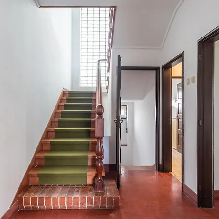 Jacaranda 카스카이스