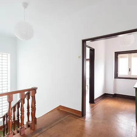 Jacaranda 카스카이스