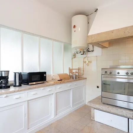 Jacaranda * 카스카이스