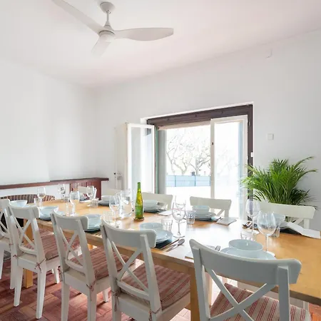 Jacarandá * Cascais