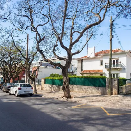 Jacaranda Appartement